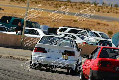 media/Feb-22-2025-Team Topak Racing (Sat) [[cb57a51a40]]/86 Party Brigade/Turns 13 and 14/